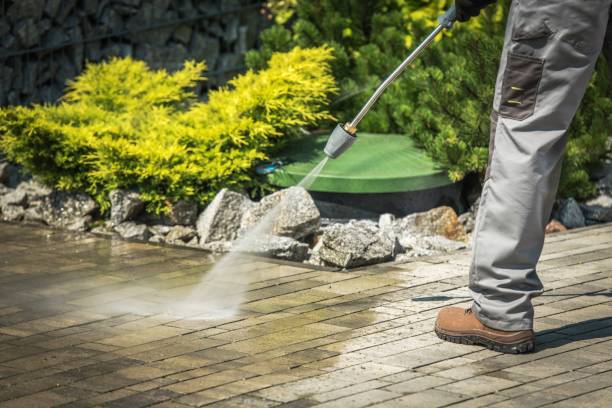 Best Animal Enclosure Cleaning  in Pico Rivera, CA