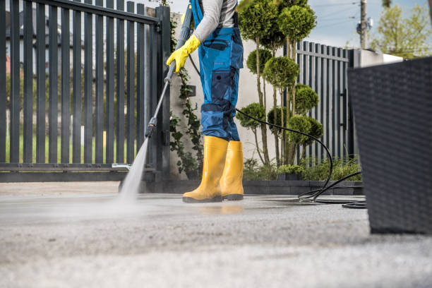 Best Dumpster Area Cleaning  in Pico Rivera, CA